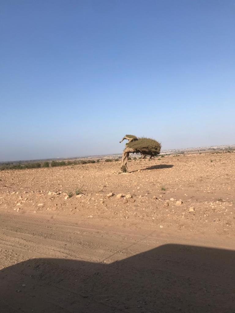 Riad Targante Takate 1 Apartamento Sidi Bibi Exterior foto